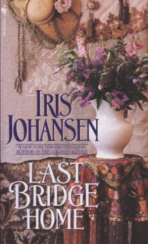 Iris Johansen Last Bridge Home